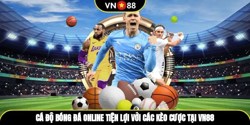 Cá Độ Bóng Đá Online