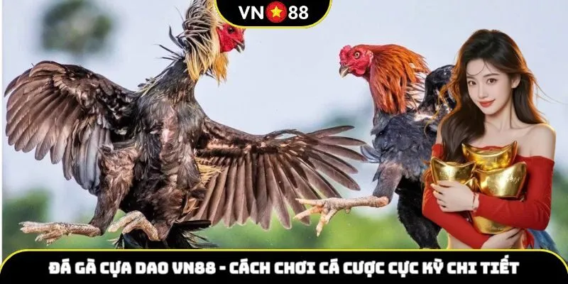 đá gà cựa dao