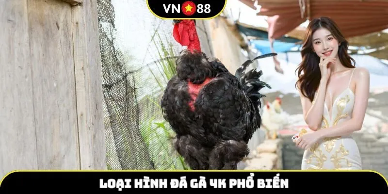 Loại hình đá gà 4k phổ biến