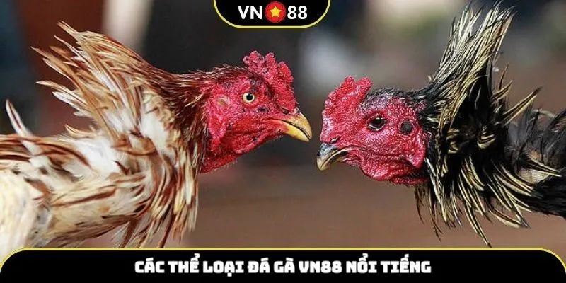 Những hình thức Đá Gà VN88 hot
