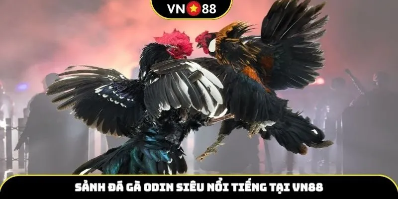 Sảnh đá gà ODIN