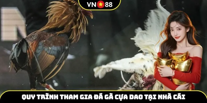 Quy trình tham gia đá gà cựa dao tại nhà cái