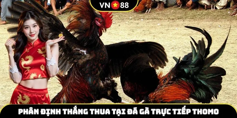 Phân định thắng thua của đá gà trực tiếp Thomo